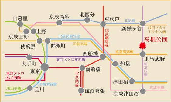 船橋市高根台７丁目　新築一戸建て　リーブルガーデン_画像5