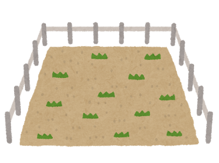 小規模宅地の特例