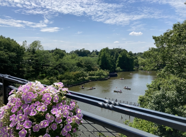 お家を『早く・高く』売るために、売主様ができる最後の工夫