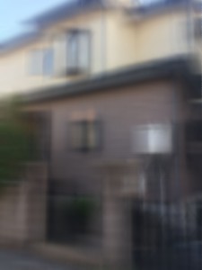 再内見