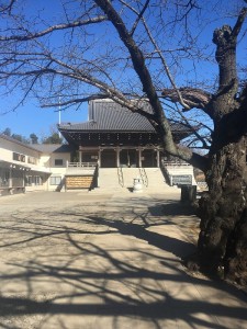 ファイル 2017-02-02 17 26 18