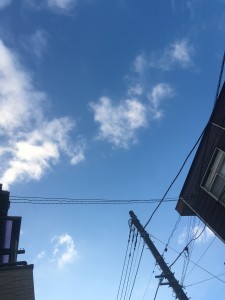 ファイル 2017-02-10 7 14 17