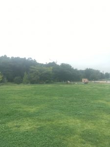 白井総合公園