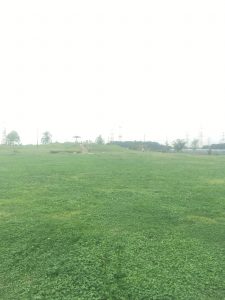 白井総合公園
