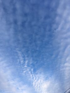 馬込沢のウロコ雲