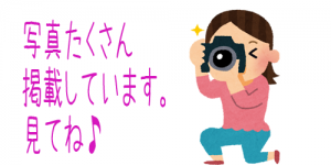 室内写真多数掲載中