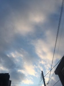 雨上がりの馬込沢