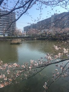 こざと公園