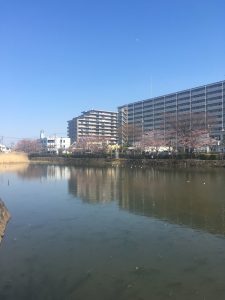 こざと公園