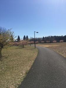 公園で