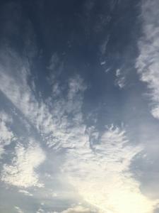 朝の空