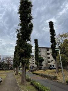 高花第二団地