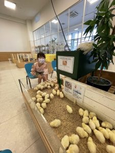 印西市 BIGHOP MOFF