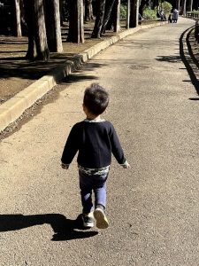 秋の散歩