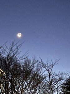 明け方の月