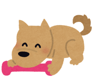 犬のガム