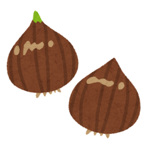 球根