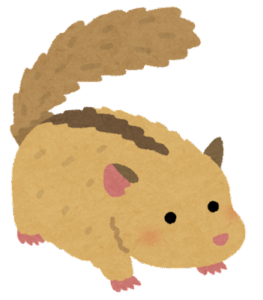 ぴかちゅう