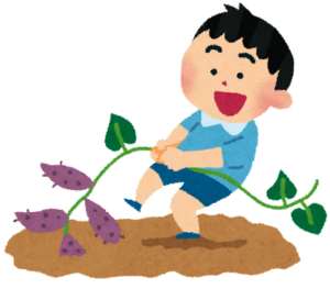 芋ほり