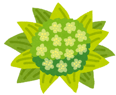 春を感じさせる、ふきのとう